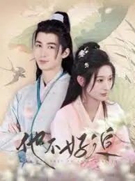 《他不好追》：三年十一月攻略战，系统喊“对象错了”？这反套路甜宠太上头！