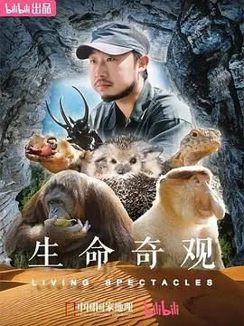 《生命奇观》：一段关于生存、勇气与人性光辉的史诗，真功夫展现绝境求生！